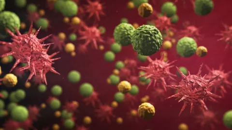 An illustration of a virus
