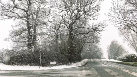 Snow on the road